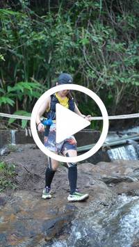 BIB:  <button type="button" onclick="openModal(27742878)" class="btn btn-primary btn-sm float-right" data-toggle="modal" data-target=".modal-high-quality">
                <i class="fa fa-download"></i> Download
                </button>